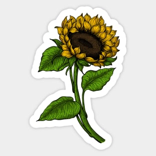 Sunflower 2 Sticker